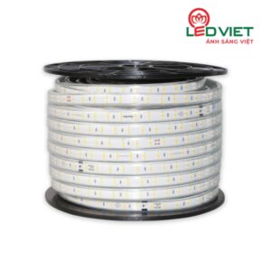 ĐÈN LED DÂY RẠNG ĐÔNG