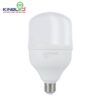 8-den-bulb-dob-40w